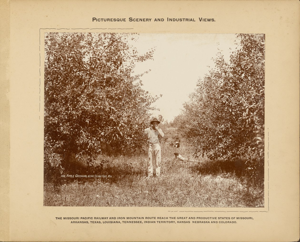 Sad jabłoniowy w pobliżu Cedar Gap, Missouri autorstwa H. C. Townsend