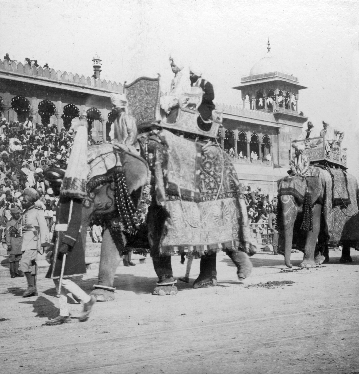 Procesja słoni przechodząca przez Jumma Masjid, Delhi, Indie, 1900. autorstwa H. Hands and Son