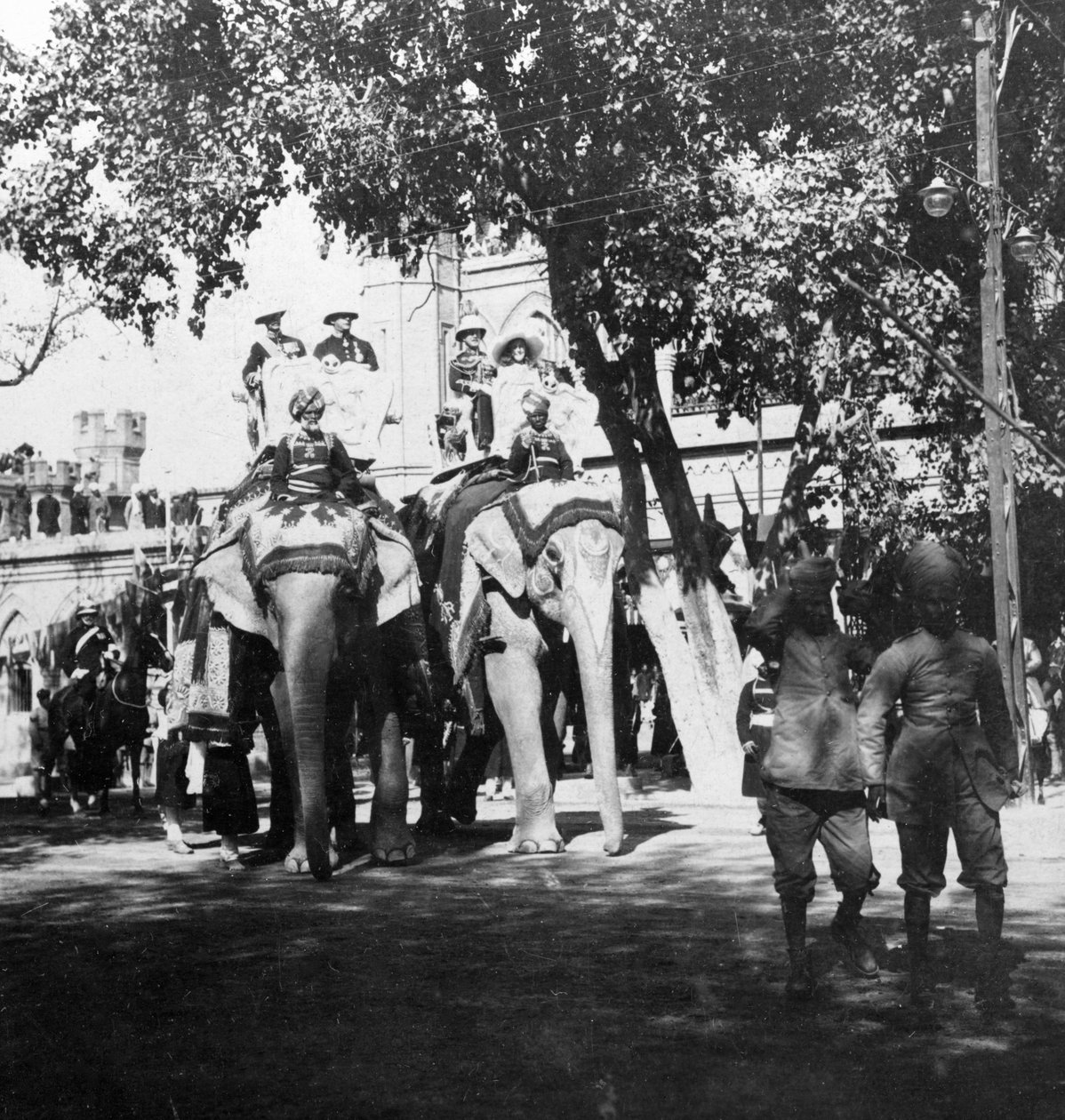 Personel wicekróla i jego córka uczestniczą w procesji słoni, Delhi, Indie, 1900. autorstwa H. Hands and Son