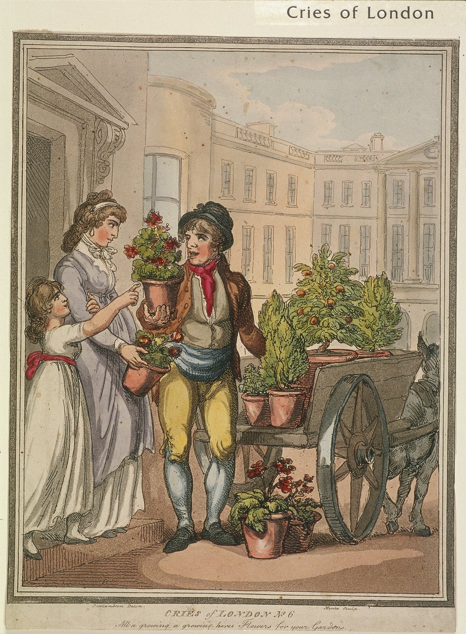 „Wszystko rośnie, rośnie, heres Kwiaty dla was Ogrody”, płyta VI z Cries of London, 1799 autorstwa H Merke