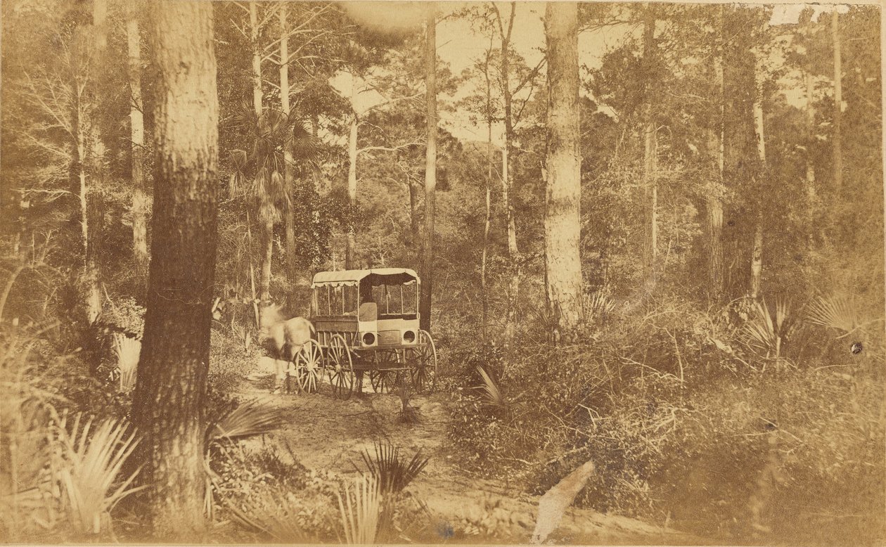 Scena na wyspie Folly autorstwa Haas and Peale