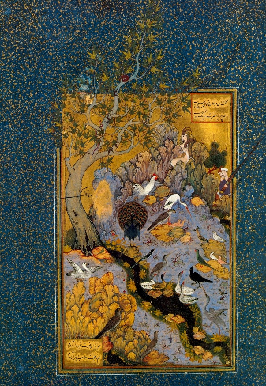 Folio z Mantiq al-Tayr The Language of the Birds, Attar, c1600. autorstwa Habib Allah