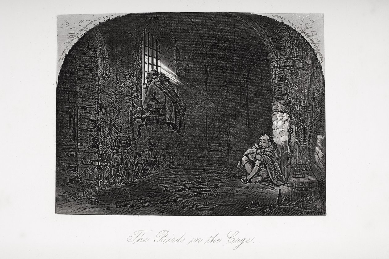 Ptaki w klatce, ilustracja z „Little Dorrit” Charlesa Dickensa (1812-70) opublikowana po raz pierwszy w 1857 roku autorstwa Hablot Knight Browne