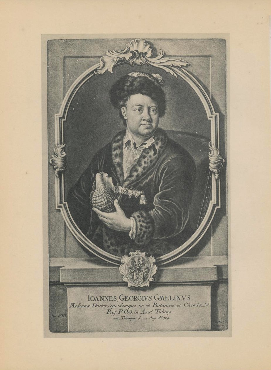 Portret przyrodnika, botanika i geografa Johanna Georga Gmelina 1709-1755, połowa XVIII w. autorstwa Haid