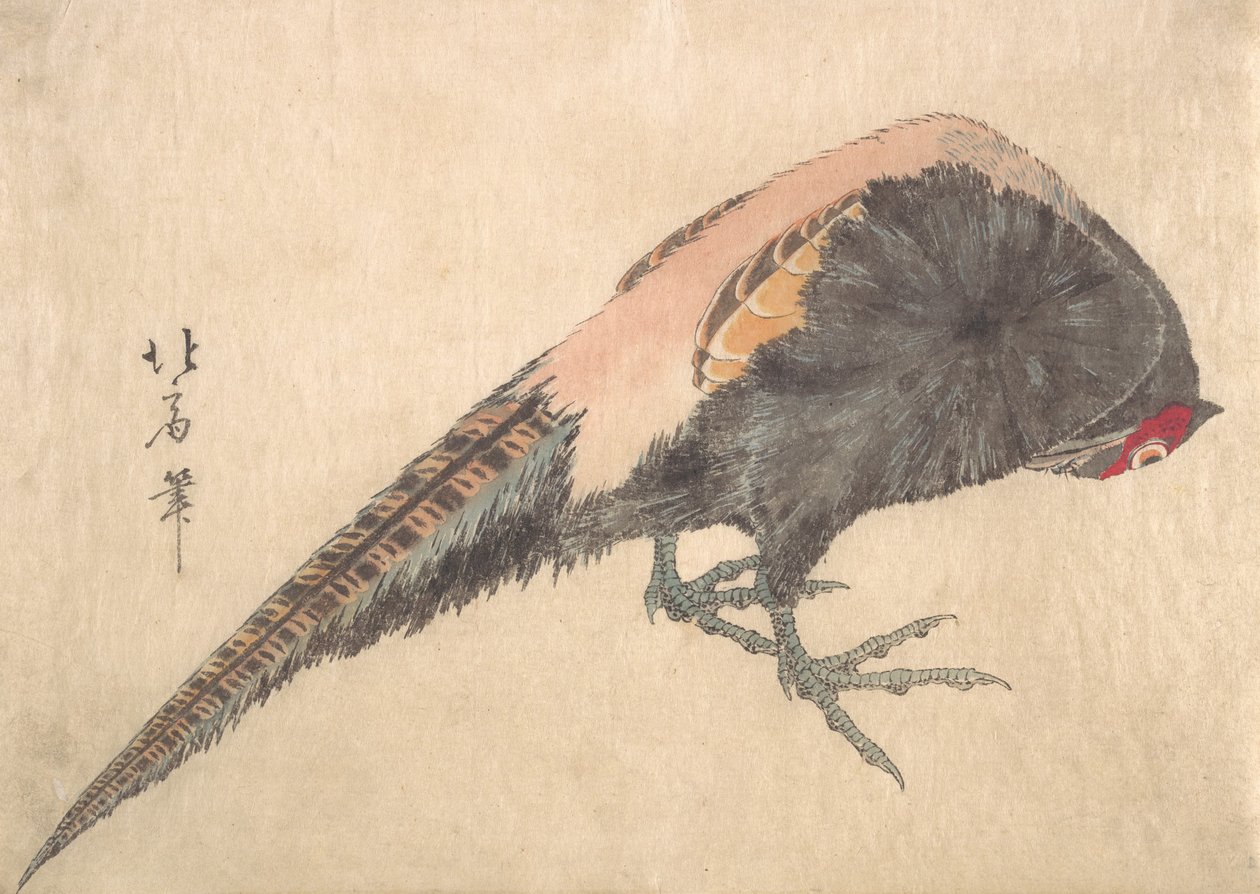Ptak, lata 30. XIX wieku. autorstwa Hakusanjin Hokui