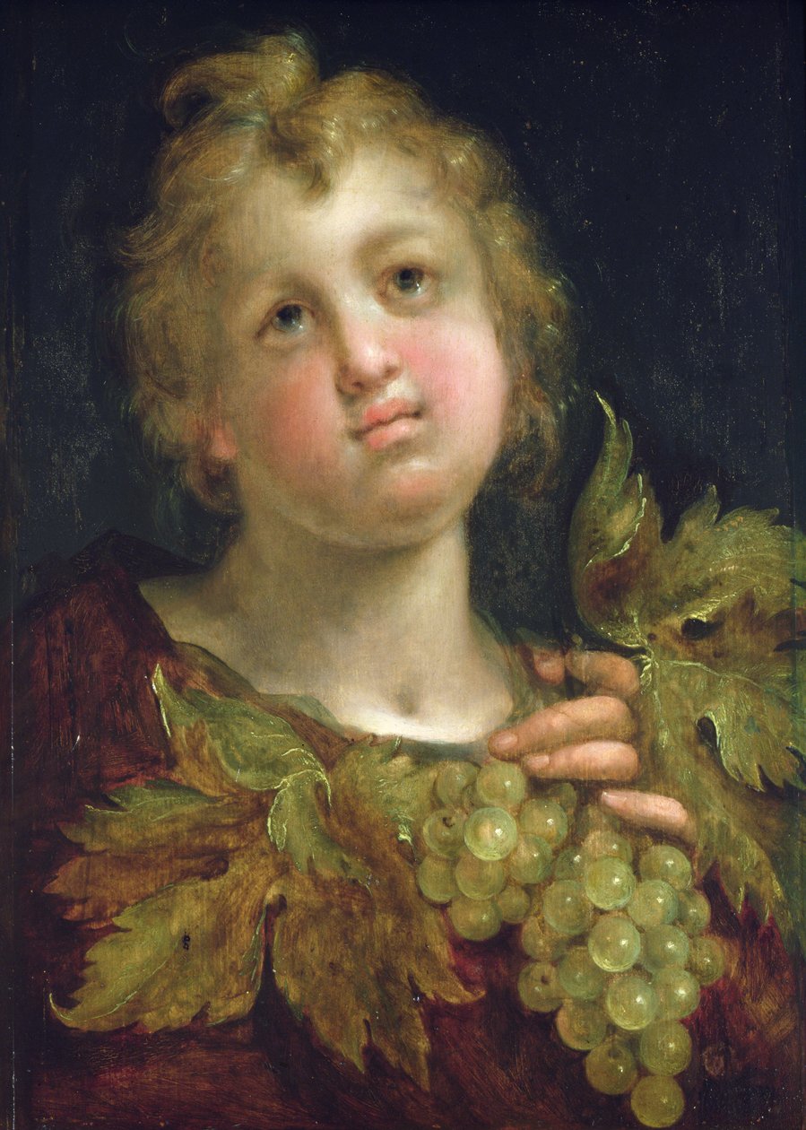 Chłopiec z kiścią winogron, 1600-5 autorstwa Hans von Aachen