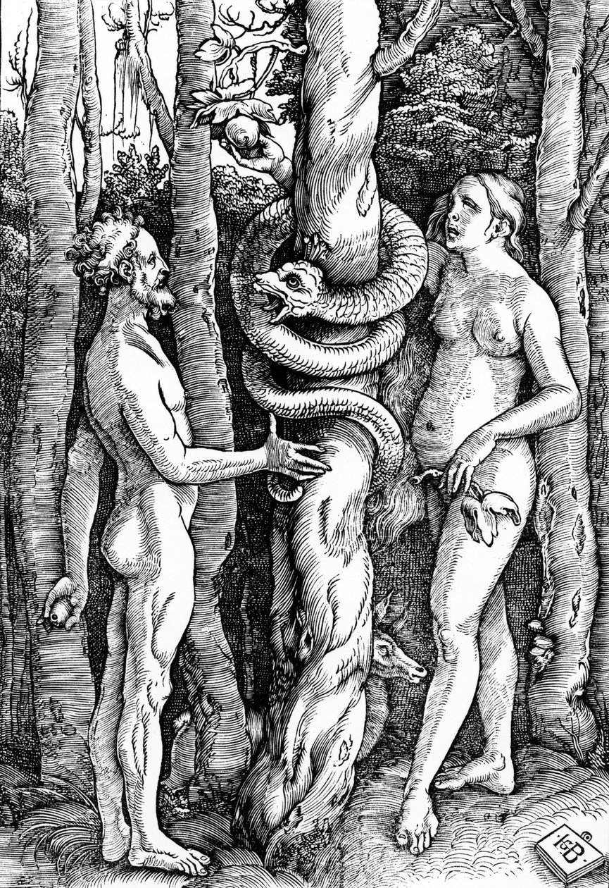Upadek człowieka, c.1514 autorstwa Hans Baldung Grien