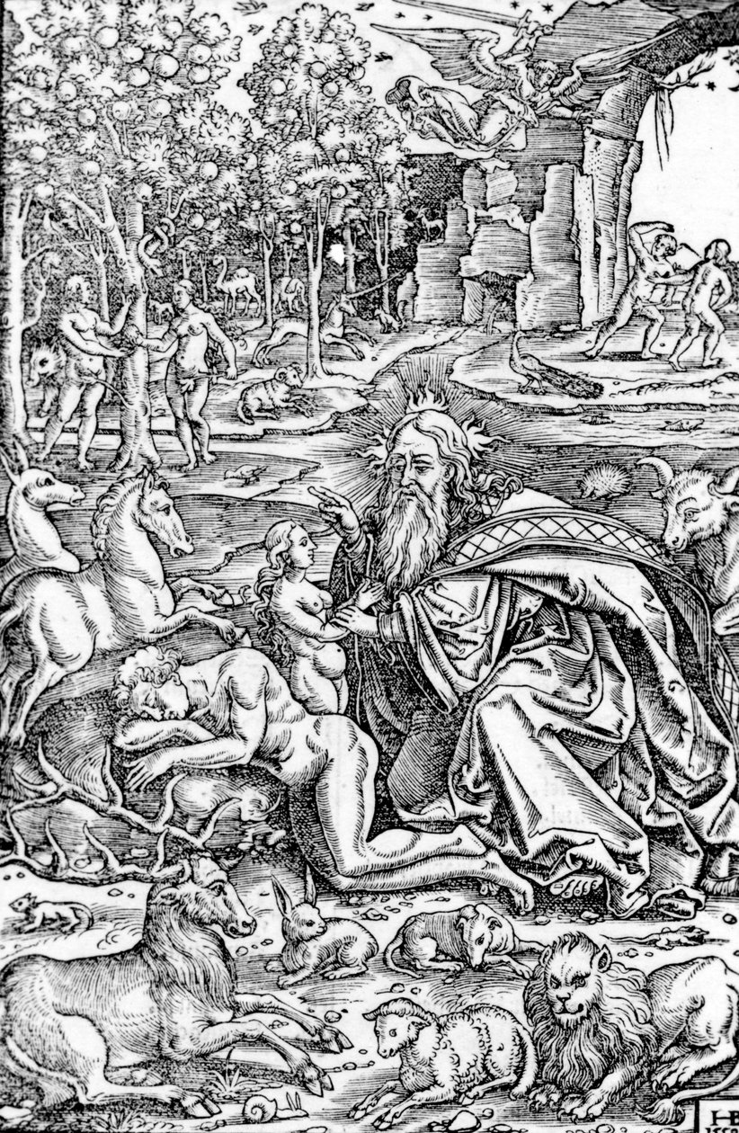 Stworzenie Ewy, z Biblii Lutra, 1550 autorstwa Hans Brosamer