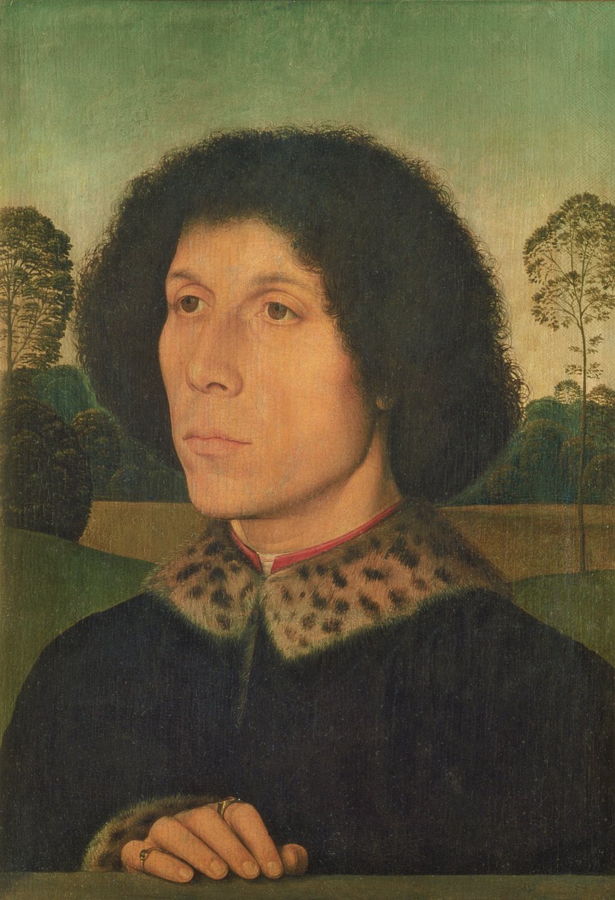 Portret mężczyzny na tle krajobrazu, ok. 1470 (panel) autorstwa Hans Memling