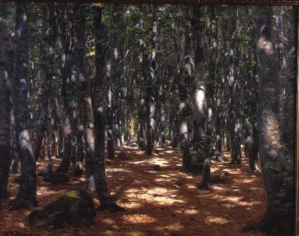Las oświetlony słońcem autorstwa Hans Andersen Brendekilde