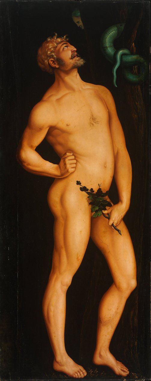 Adam - Peinture de Hans Baldung (1484-1545) - 1525-1526 - Olej na drewnie - 208,5x83,5 - Muzeum Szepmuveszeti, Budapeszt autorstwa Hans Baldung Grien
