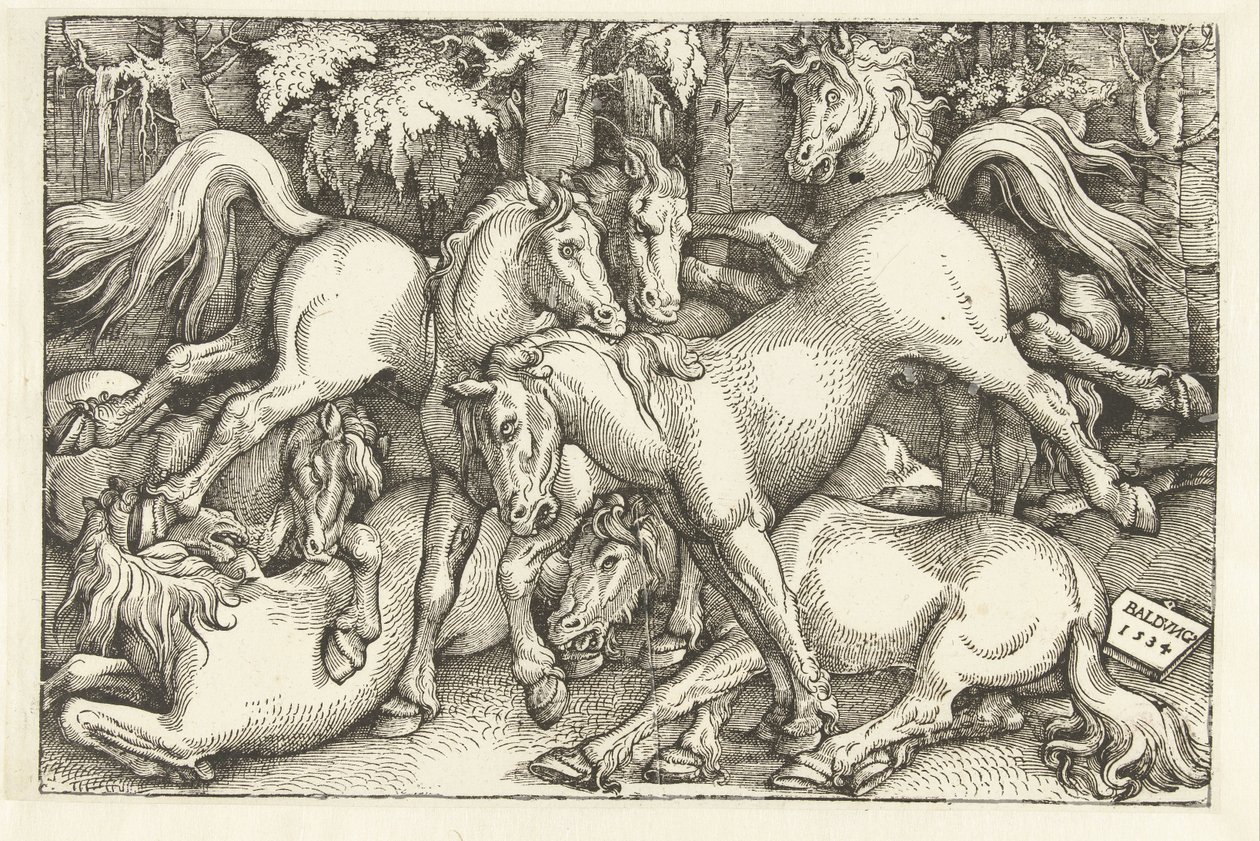 Grupa siedmiu koni bojowych autorstwa Hans Baldung Grien