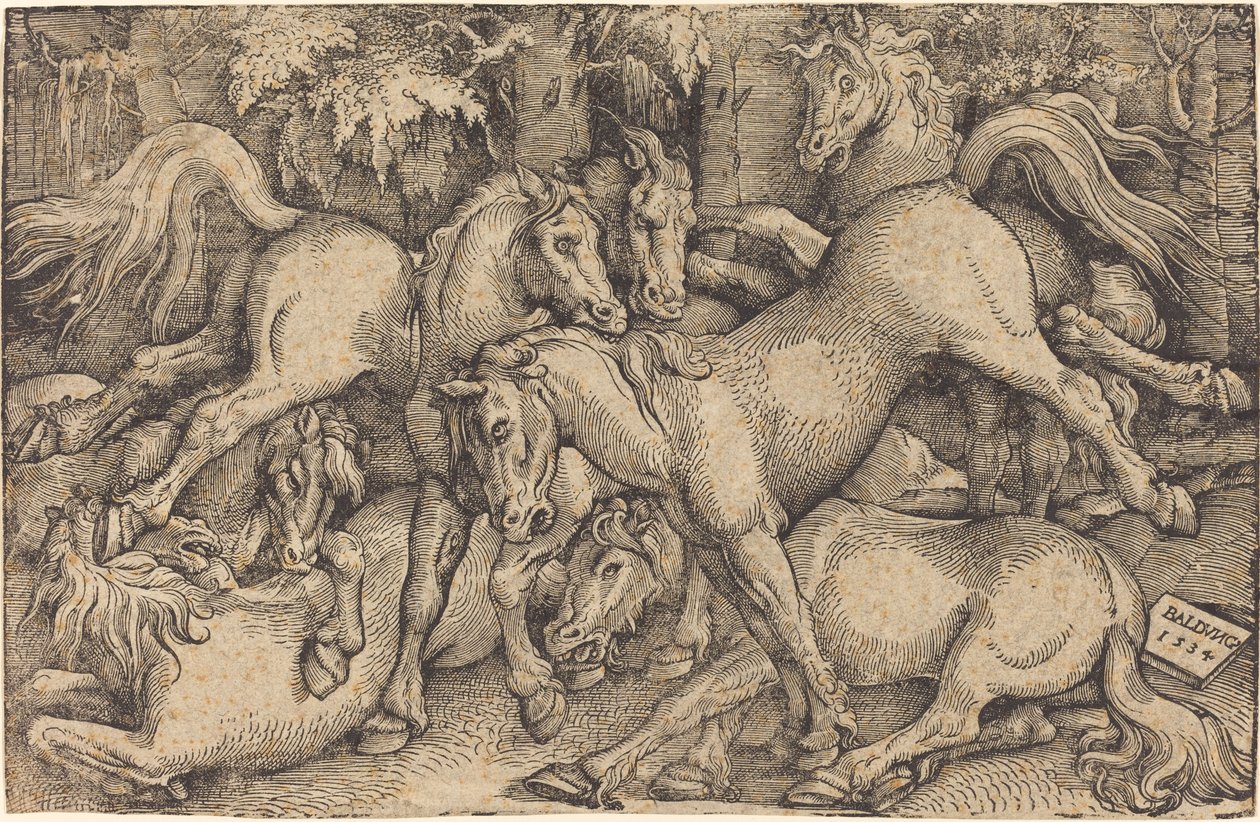 Grupa Siedmiu Koni w Lesie autorstwa Hans Baldung Grien
