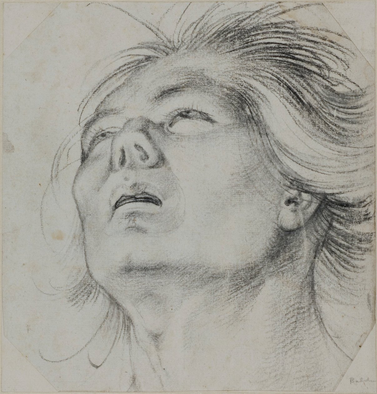 Głowa młodego mężczyzny, widziana od dołu autorstwa Hans Baldung Grien