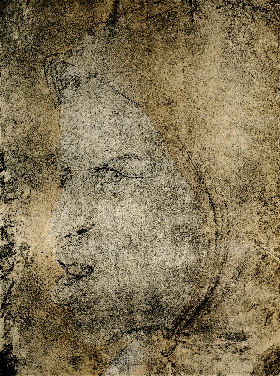 Głowa głupca autorstwa Hans Baldung Grien