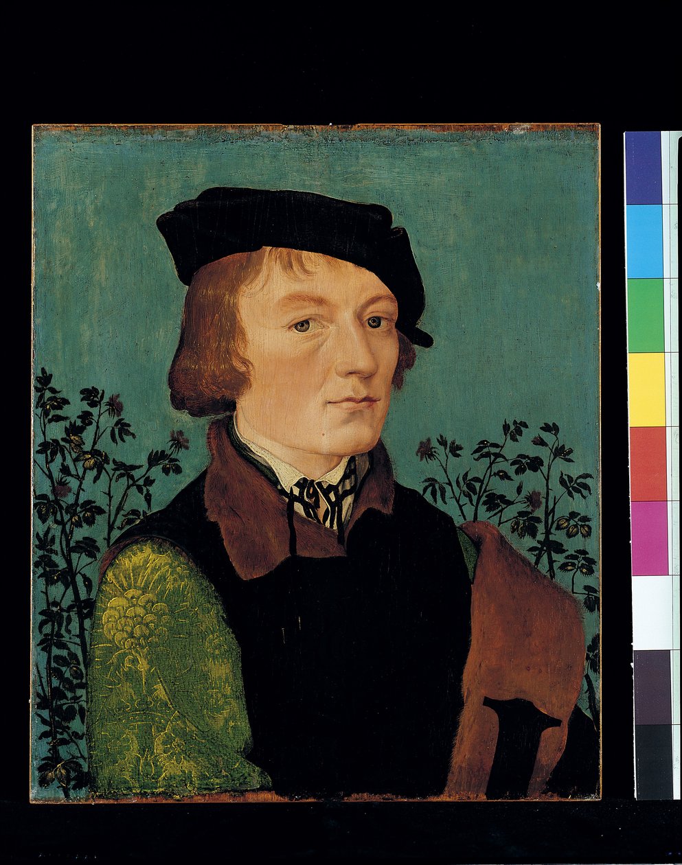 Portret mężczyzny przed różanym żywopłotem (olej na drewnie) autorstwa Hans Baldung Grien