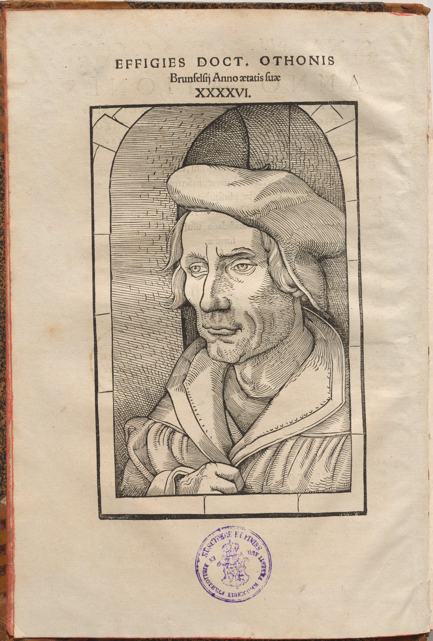 Adnotacje Othonisa Brunfelsiusa...w czterech Ewangeliach i Dziejach Apostolskich... autorstwa Hans Baldung Grien, Otto Brunfels