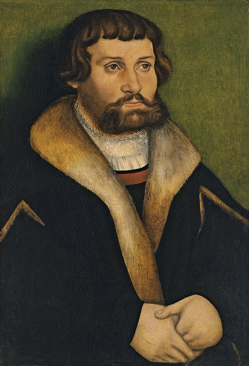 Portret brodatego mężczyzny autorstwa Hans Cranach