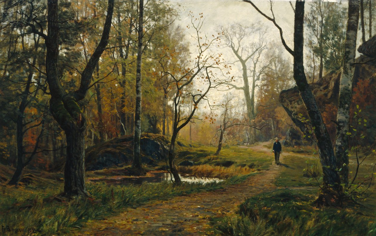 Poranna atmosfera autorstwa Hans Fredrik Henriksen Borgen