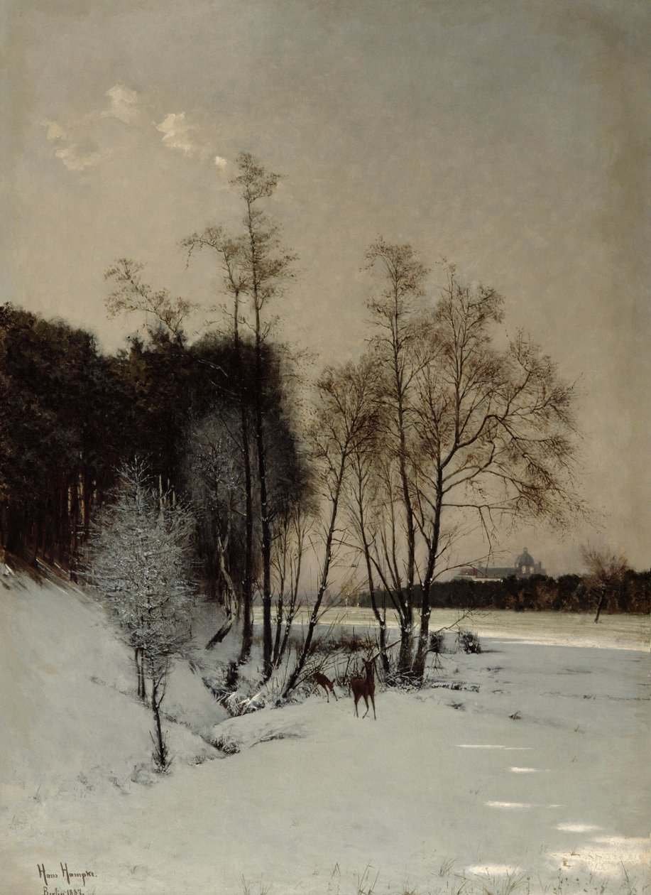 Zimowy widok w Poznaniu, 1887 autorstwa Hans Hampke