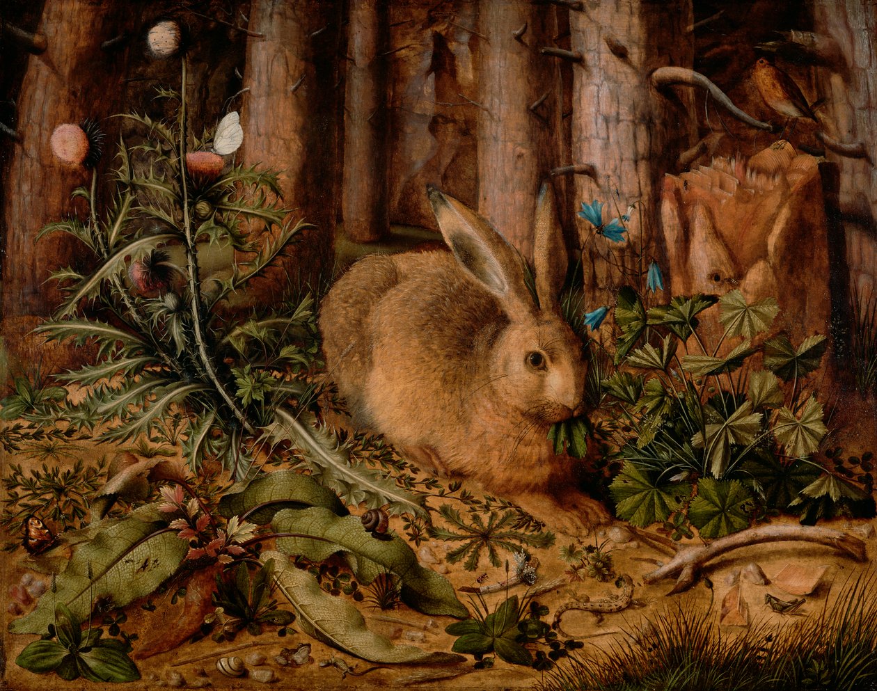 Zając w lesie, ok. godz. 1585 (olej na panelu) autorstwa Hans Hoffmann