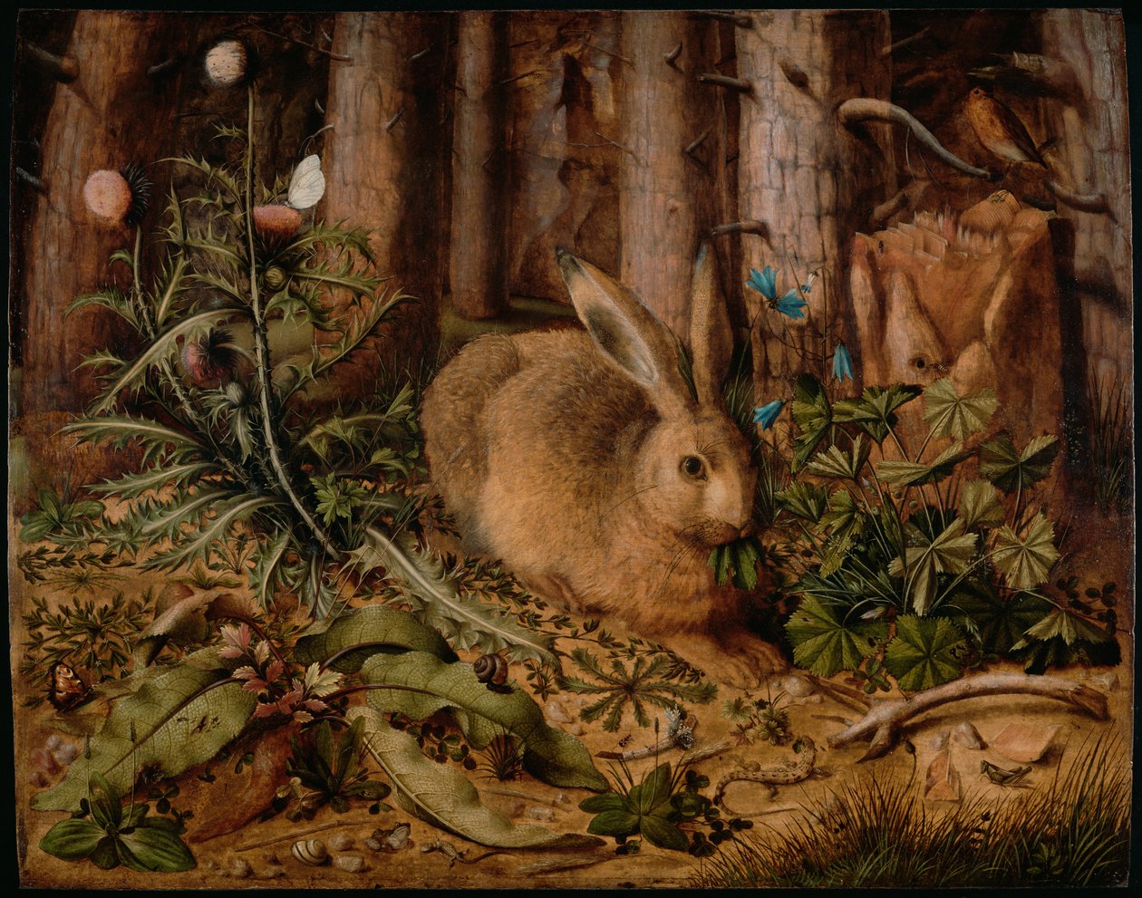 Zając w lesie, ok. 1585 autorstwa Hans Hoffmann