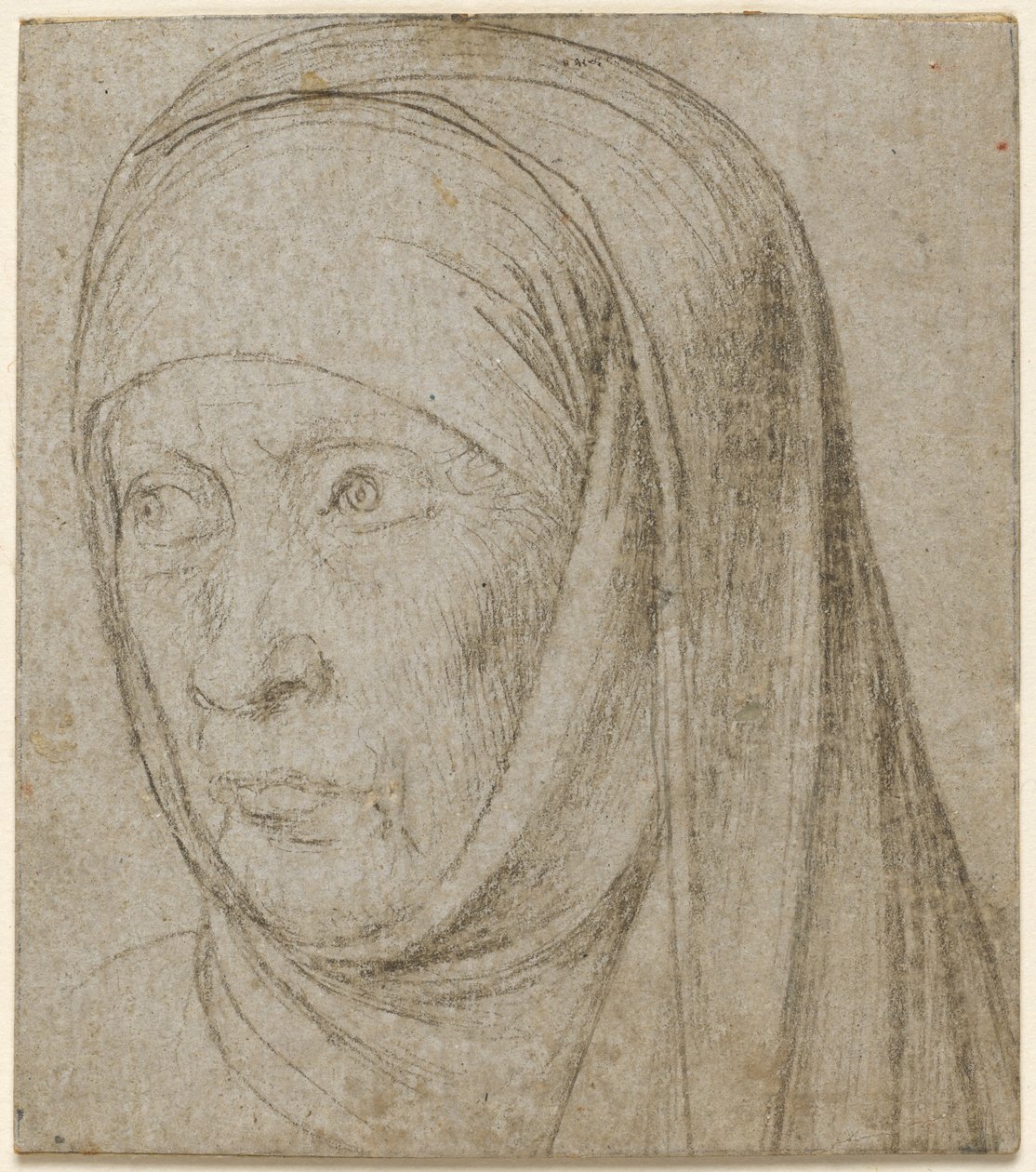 Głowa starej kobiety autorstwa Hans Holbein