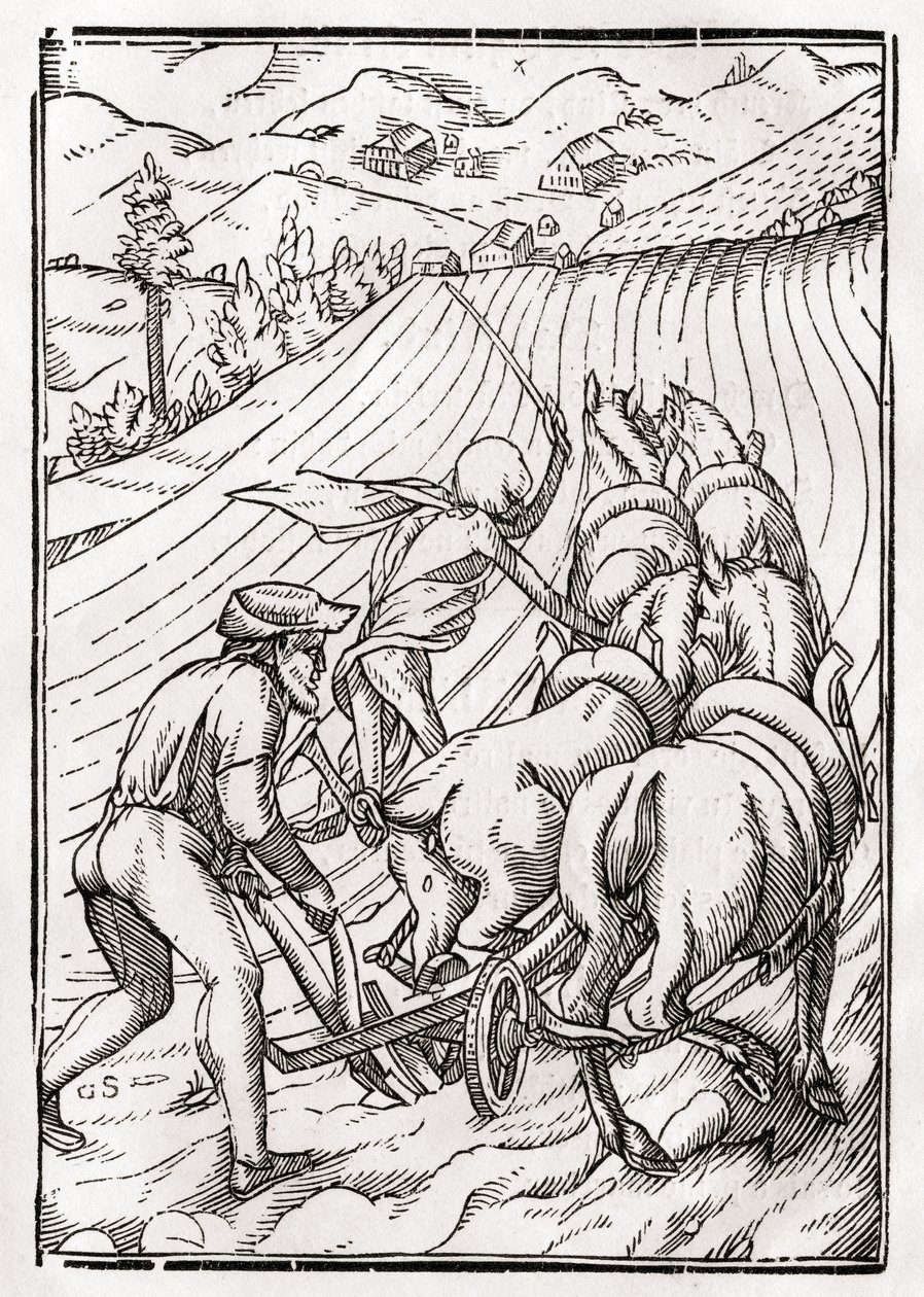 Śmierć przychodzi dla Rolnika lub Rolnika, rytowany przez Georga Scharffenberga, z „Der Todten Tanz”, wydanej w Bazylei, 1843 autorstwa Hans Holbein der Jüngere