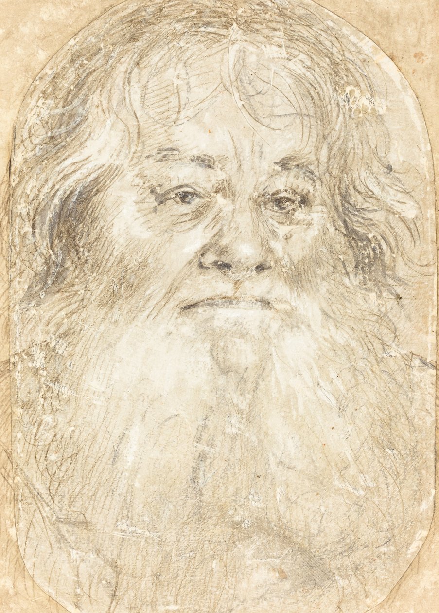 Studium brodatego mężczyzny [verso] autorstwa Hans Holbein the Elder