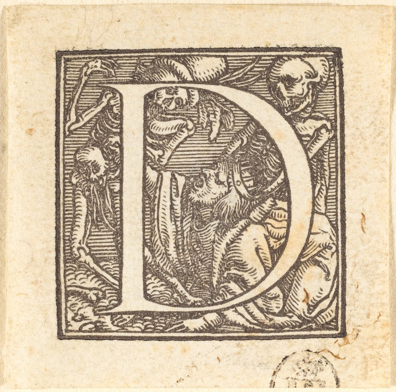Litera D. autorstwa Hans Holbein der Jüngere