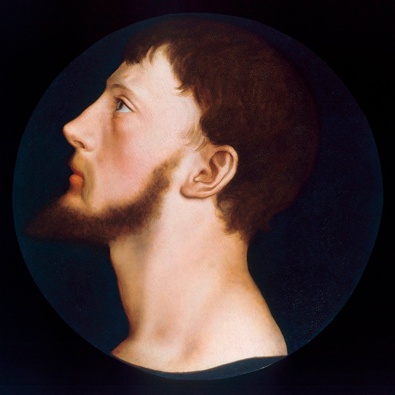 Portret Thomasa Wyatta Młodszego, ok.1541 autorstwa Hans Holbein der Jüngere