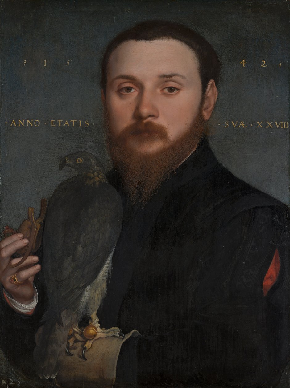 Portret szlachcica z jastrzębiem, 1542 autorstwa Hans Holbein der Jüngere