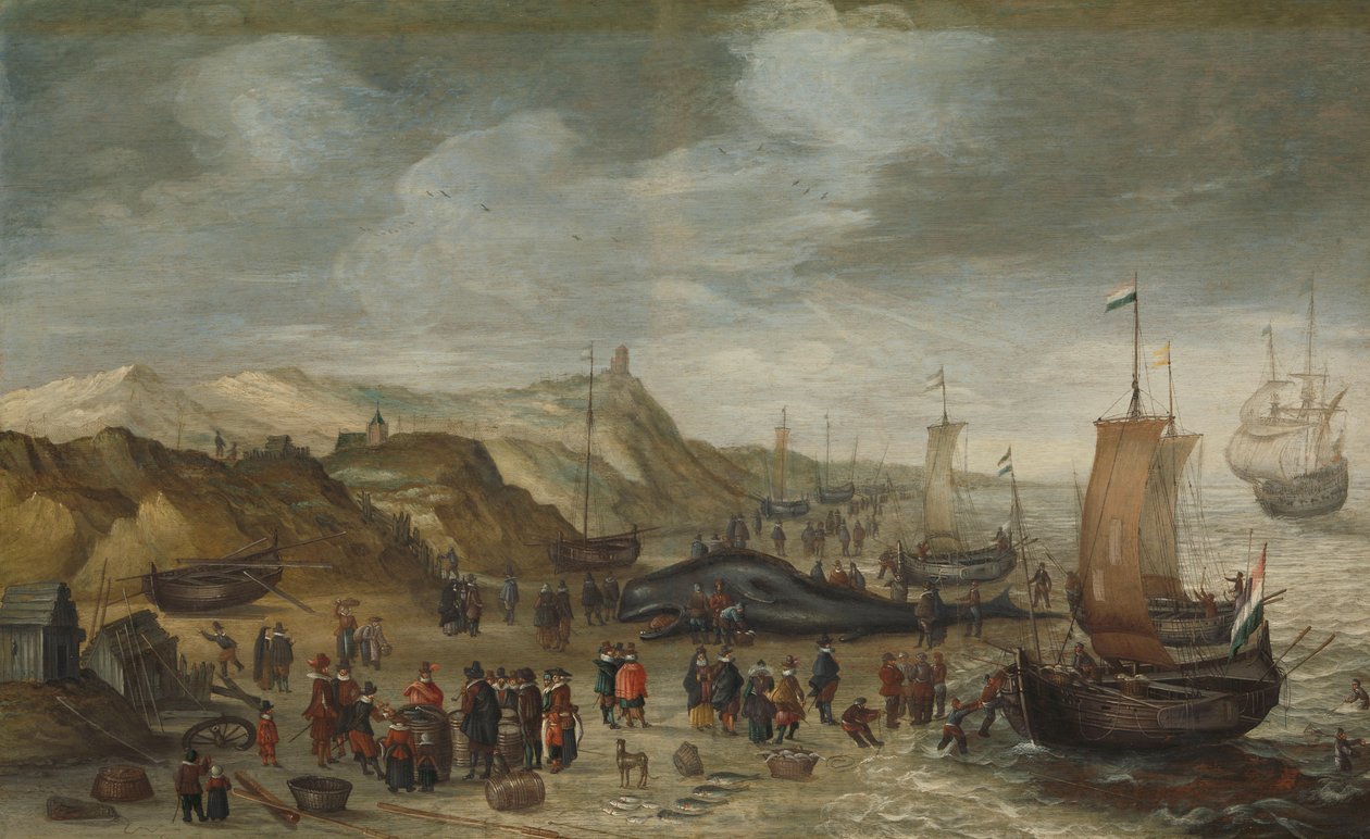 Kaszalot wyrzucony na plażę w Noordwijk 28 grudnia 1614 r autorstwa Hans I Savery