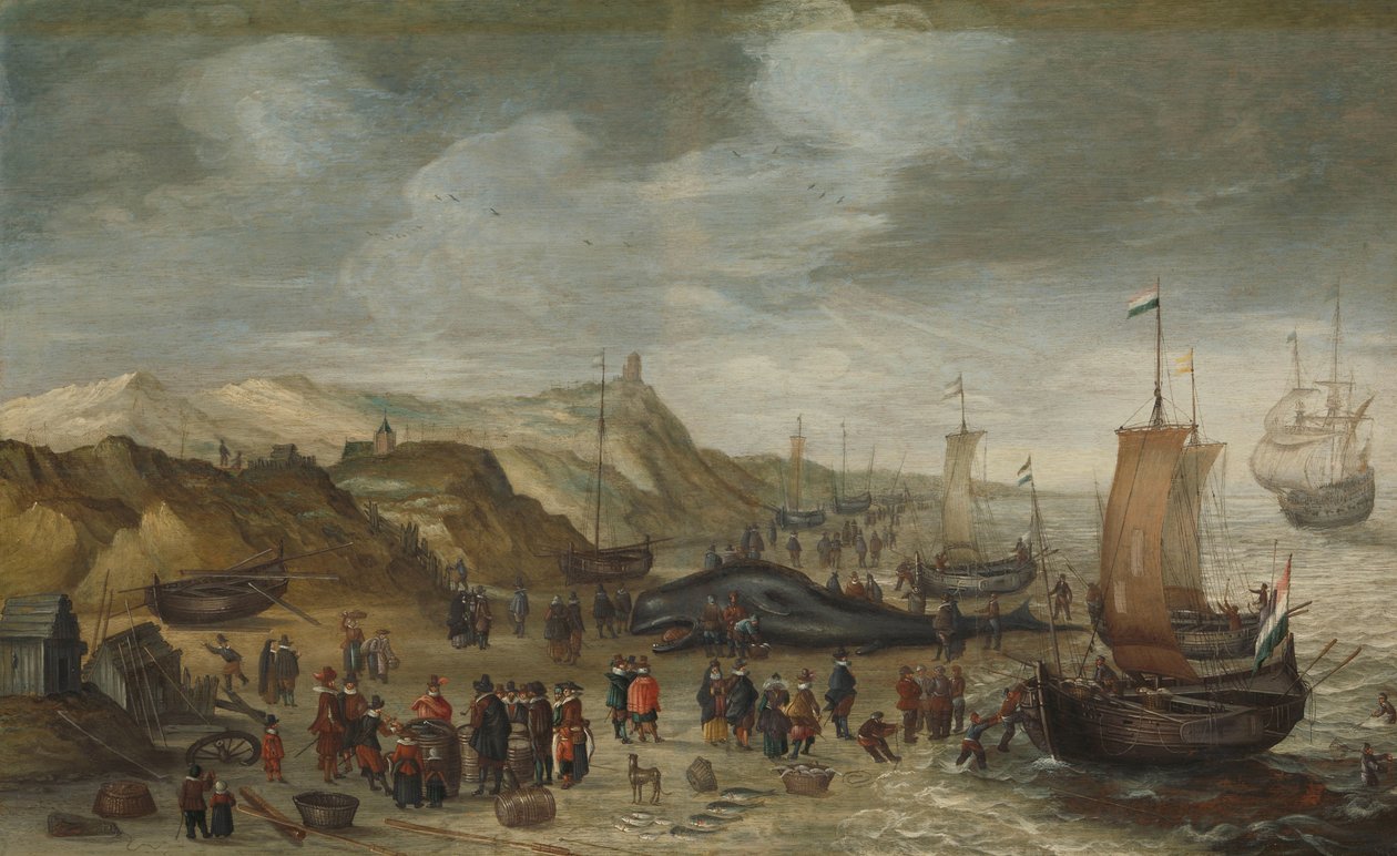 Kaszalot wyrzucony na plażę w Noordwijk, 28 grudnia 1614 r. autorstwa Hans Savery (I) (attributed to)