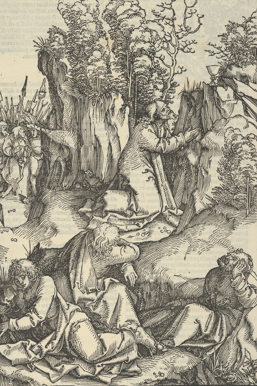 Konanie w ogrodzie, ze zwierciadła męki Pana naszego Jezusa Chrystusa, 1507. autorstwa Hans Schäufelein the Elder