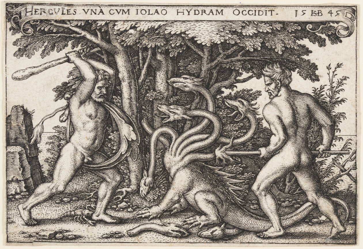 Herkules zabija Hydrę autorstwa Hans Sebald Beham