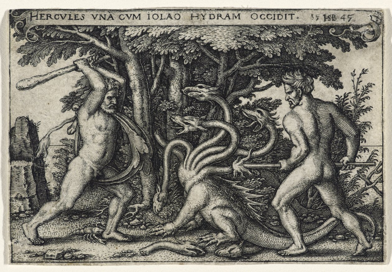 Herkules zabijający hydrę, 1545 (rycina na papierze czerpanym) autorstwa Hans Sebald Beham