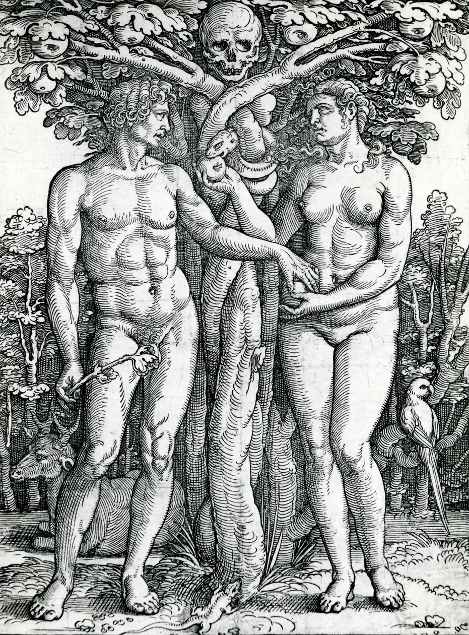 Upadek Adama i Ewy, ok. 1525-27 (drzewryt) autorstwa Hans Sebald Beham