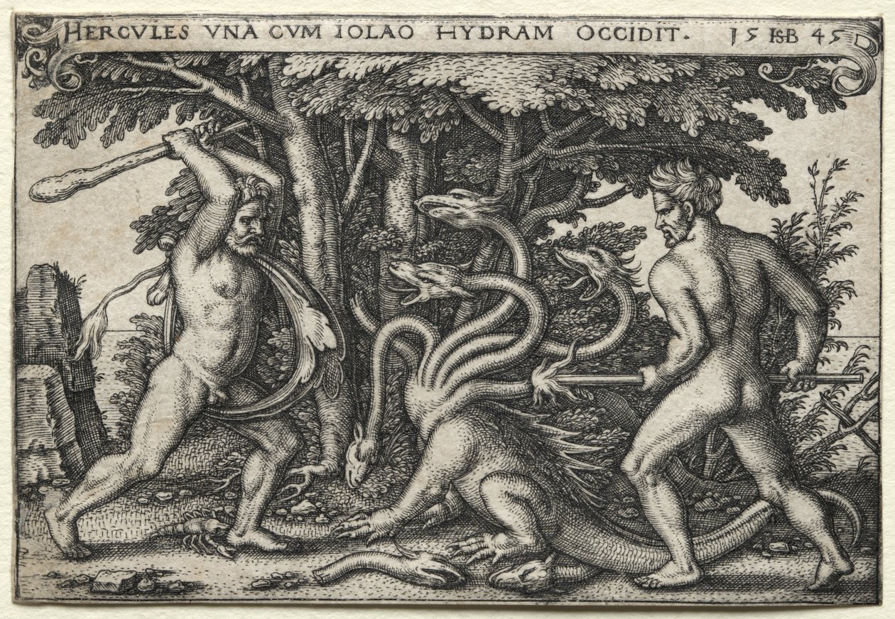 Prace Herkulesa: Herkules zabija Hydrę Lerneańską, 1545. autorstwa Hans Sebald Beham