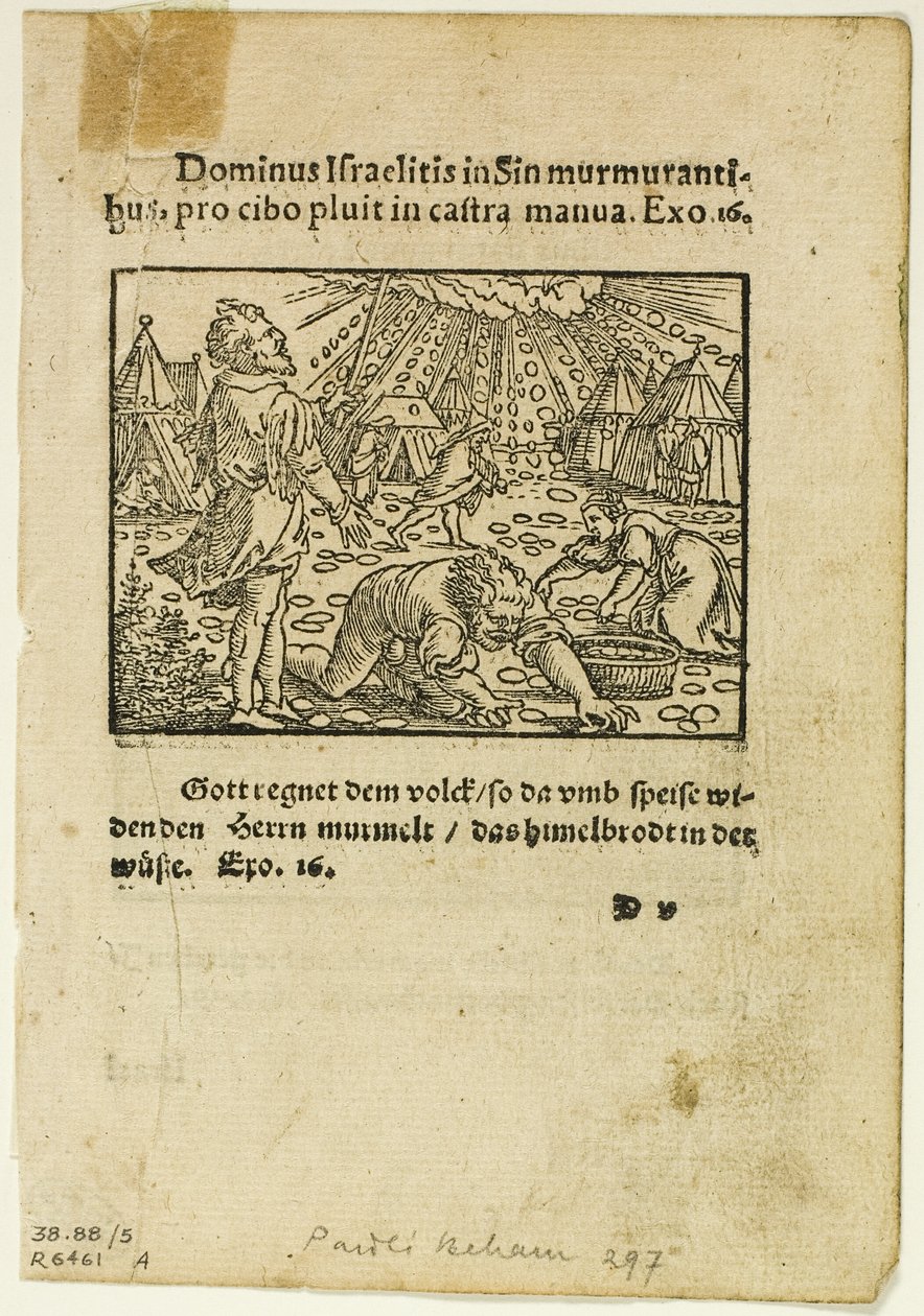 Deszcz manny z Biblische Historien Künstlich fürgemalt, płyta piąta z drzeworytów z ksiąg XVI wieku autorstwa Hans Sebald Beham