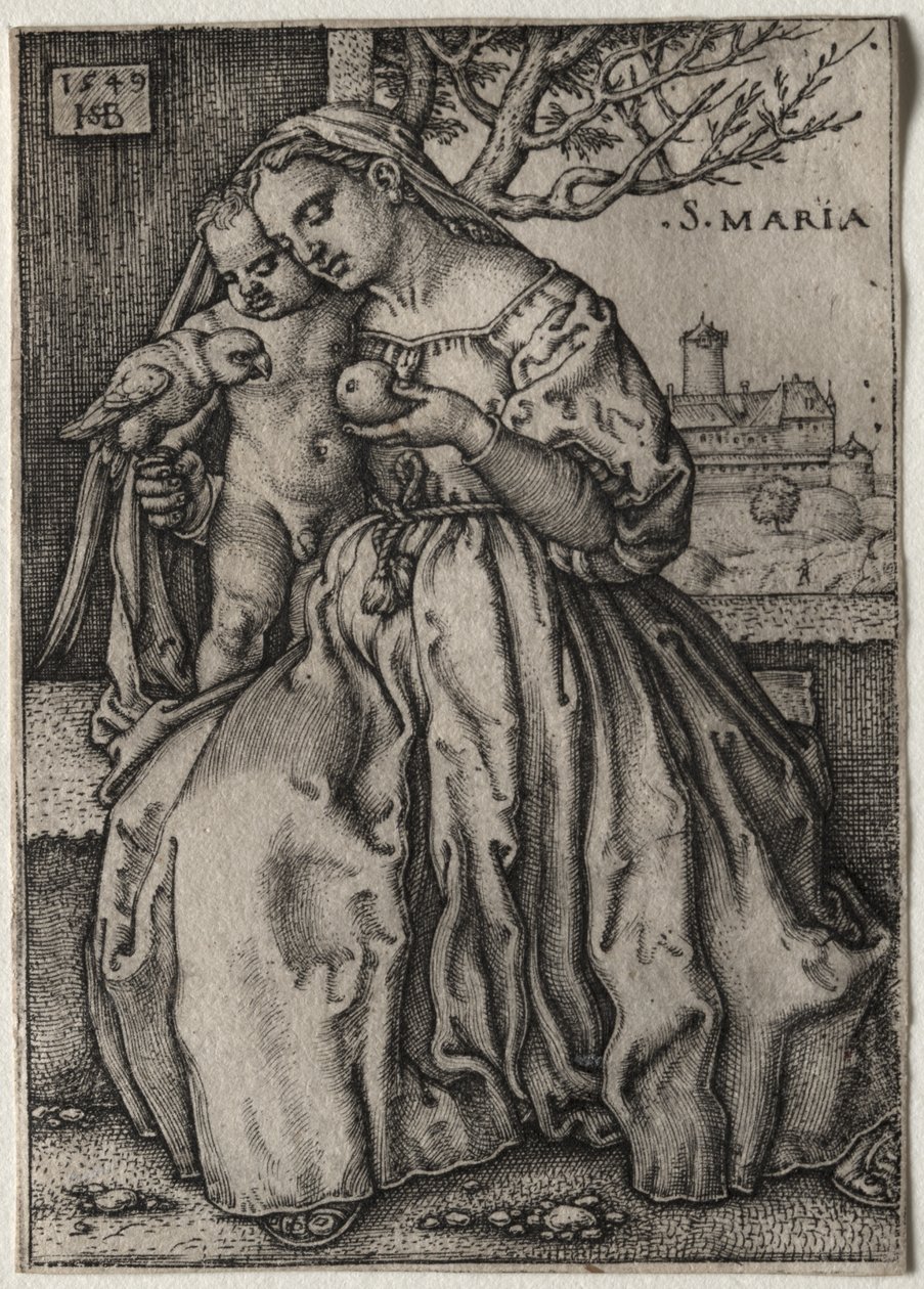 Madonna z Dzieciątkiem i papugą autorstwa Hans Sebald Beham