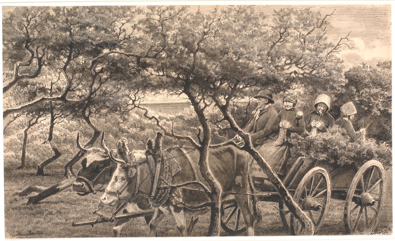 Pojazd studyjny. Przez zarośla. Hammerum Herred autorstwa Hans Smidth