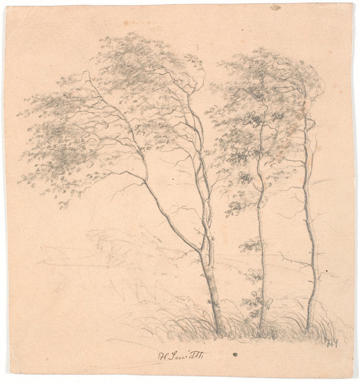 Trzy drzewa autorstwa Hans Smidth
