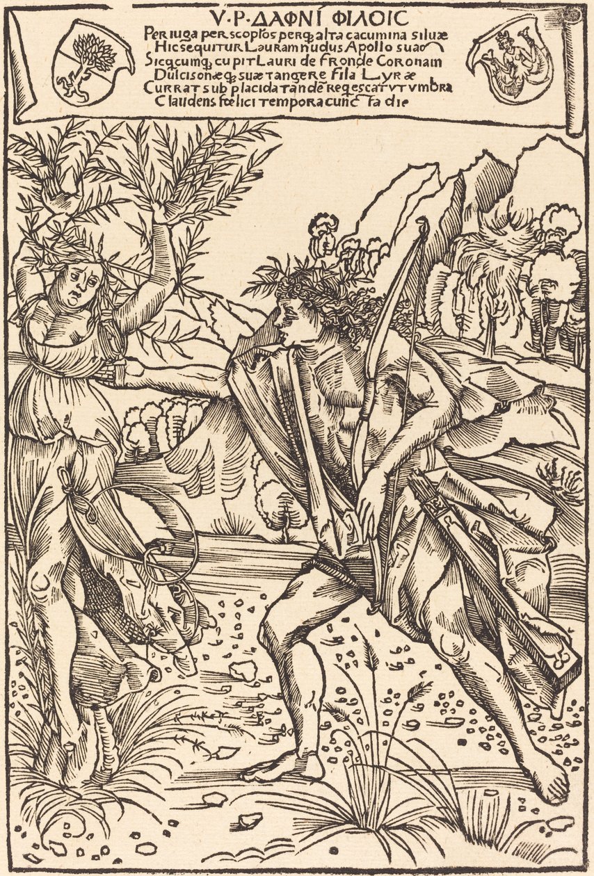 Apollo i Daphne autorstwa Hans Süss von Kulmbach