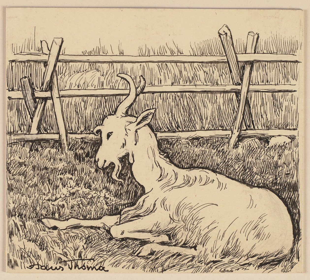 Rysunek do elementarza: Koza autorstwa Hans Thoma