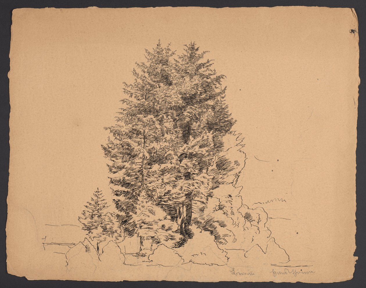 Drzewa w Bernau autorstwa Hans Thoma