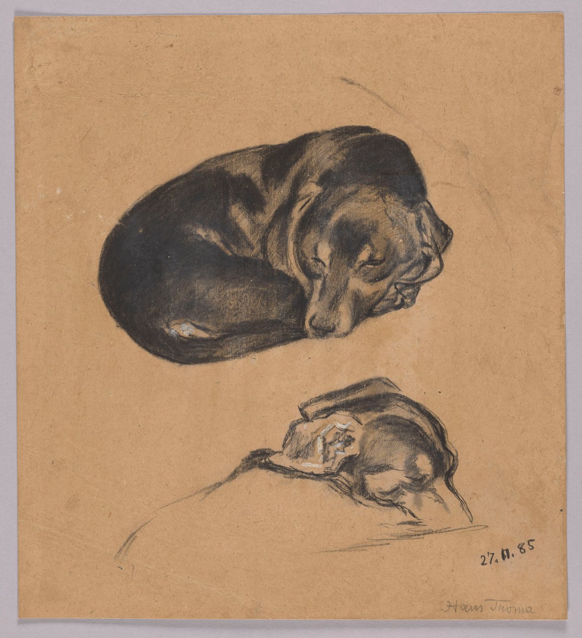 Zwei Studien eines schlafenden Dackels autorstwa Hans Thoma