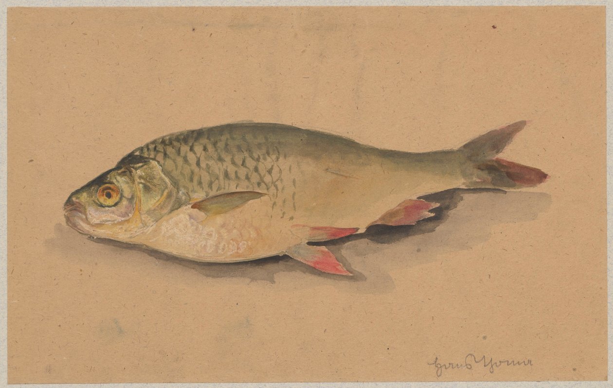 Ryba autorstwa Hans Thoma