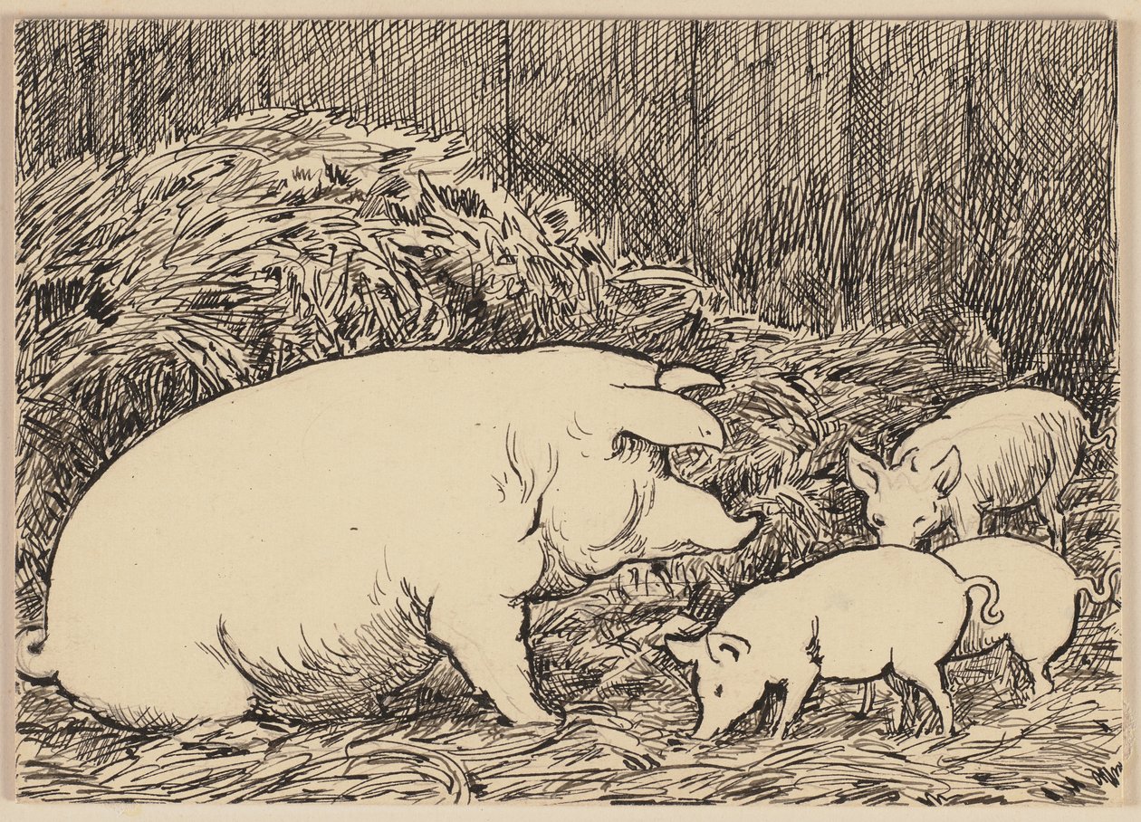 Ilustracja do podręcznika: Świnia autorstwa Hans Thoma