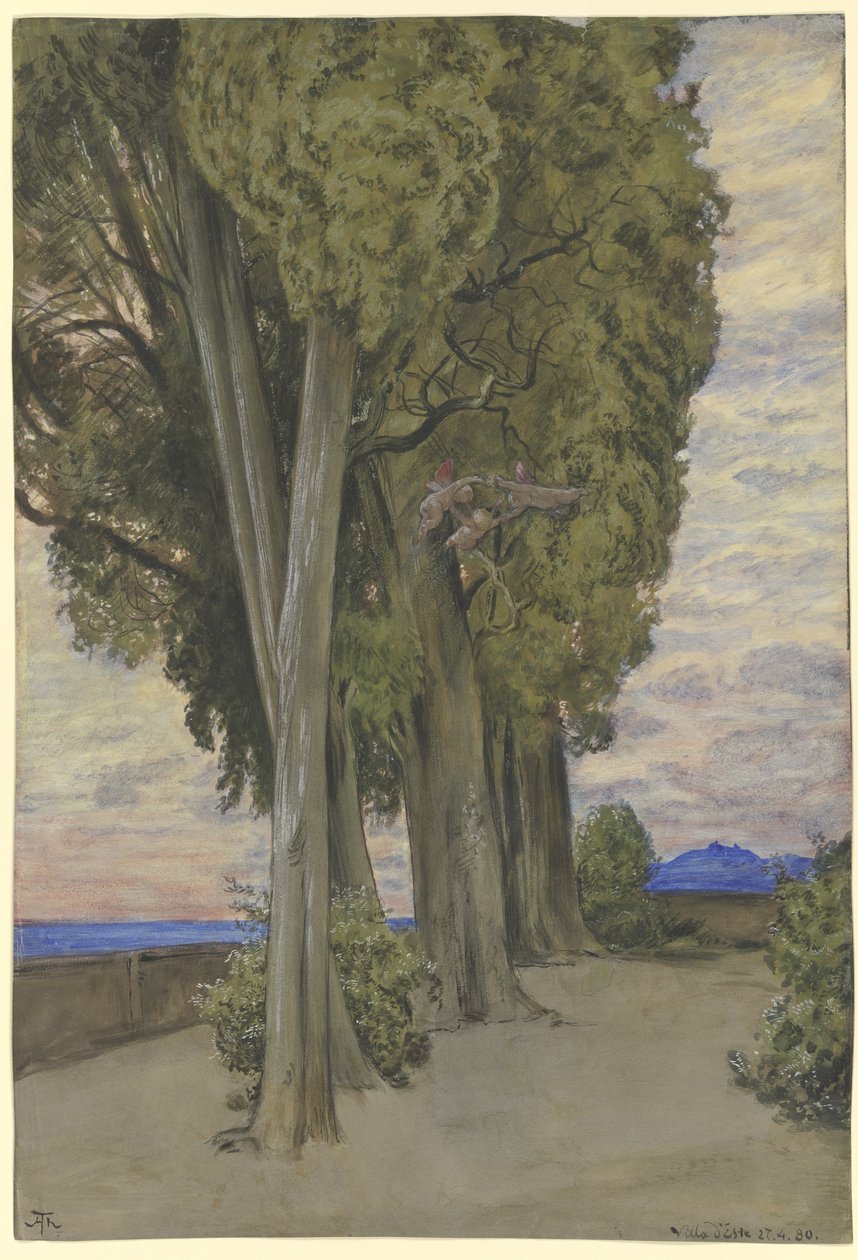 Cyprysy w Villa d